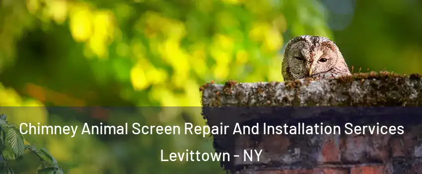  Chimney Animal Screen Repair And Installation Services Levittown - NY