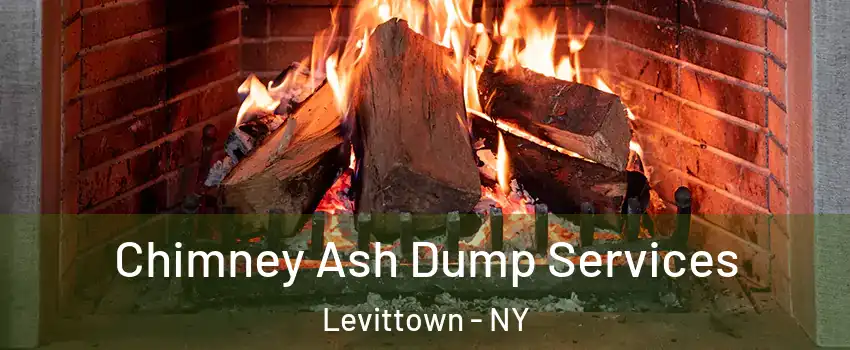  Chimney Ash Dump Services Levittown - NY