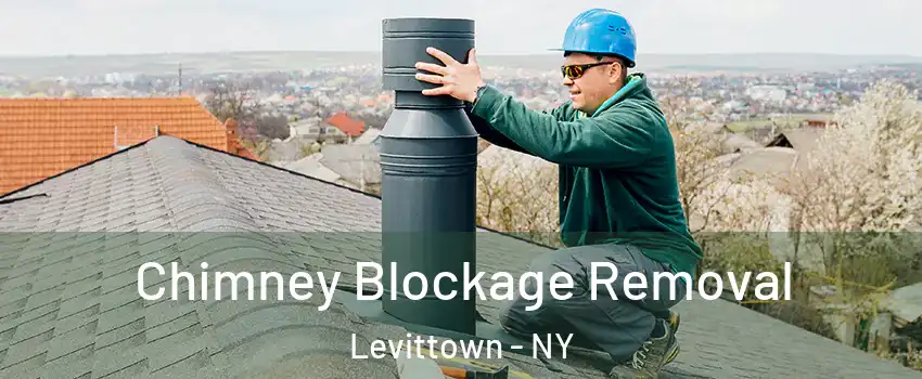  Chimney Blockage Removal Levittown - NY