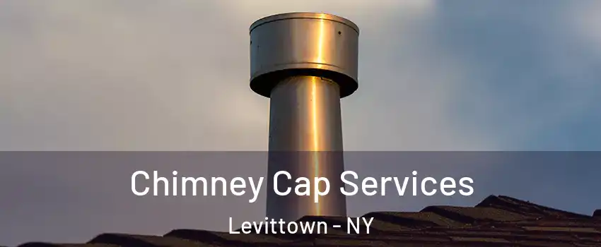  Chimney Cap Services Levittown - NY