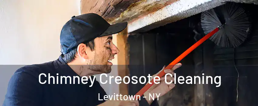  Chimney Creosote Cleaning Levittown - NY