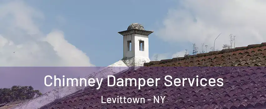  Chimney Damper Services Levittown - NY