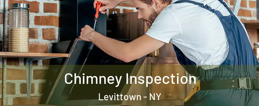 Chimney Inspection Levittown - NY