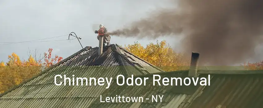  Chimney Odor Removal Levittown - NY