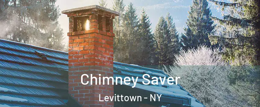  Chimney Saver Levittown - NY