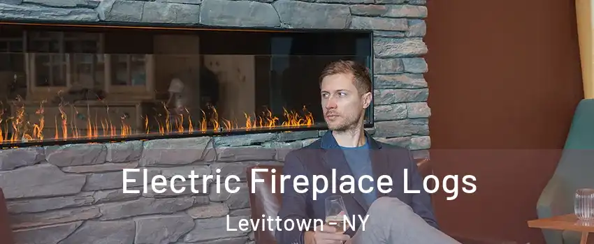  Electric Fireplace Logs Levittown - NY