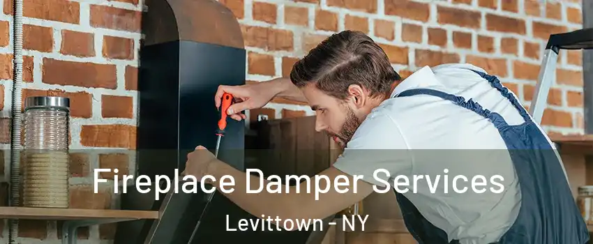  Fireplace Damper Services Levittown - NY