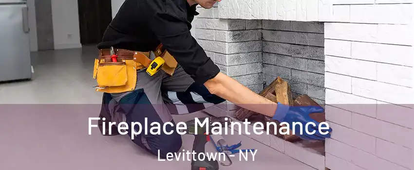  Fireplace Maintenance Levittown - NY