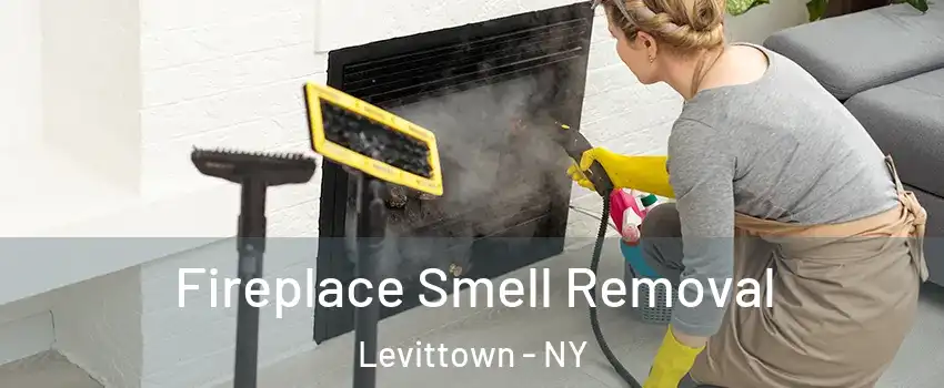  Fireplace Smell Removal Levittown - NY