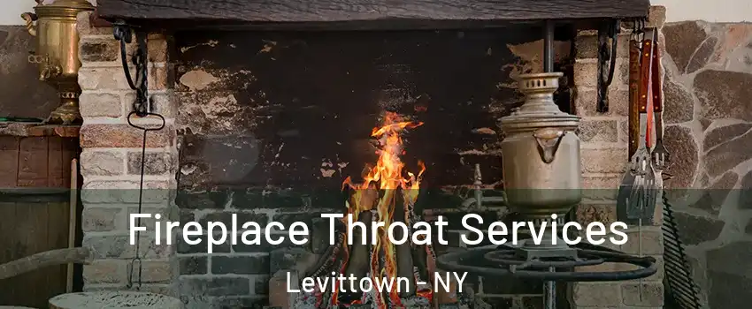  Fireplace Throat Services Levittown - NY