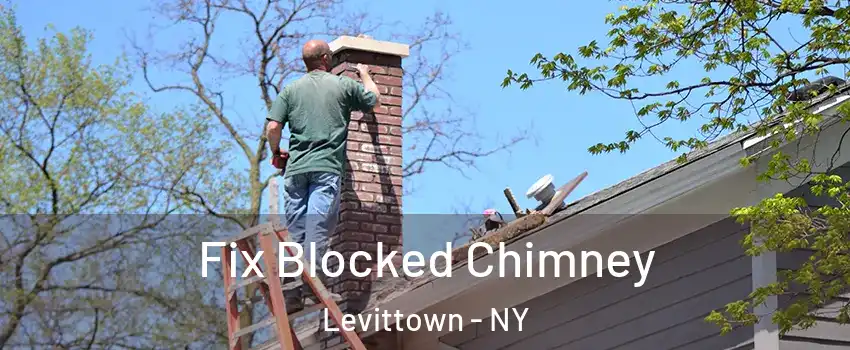  Fix Blocked Chimney Levittown - NY