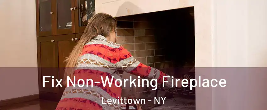  Fix Non-Working Fireplace Levittown - NY