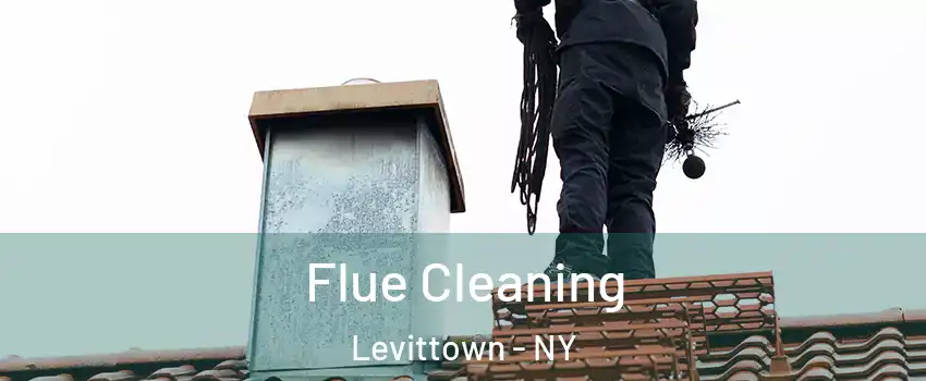  Flue Cleaning Levittown - NY