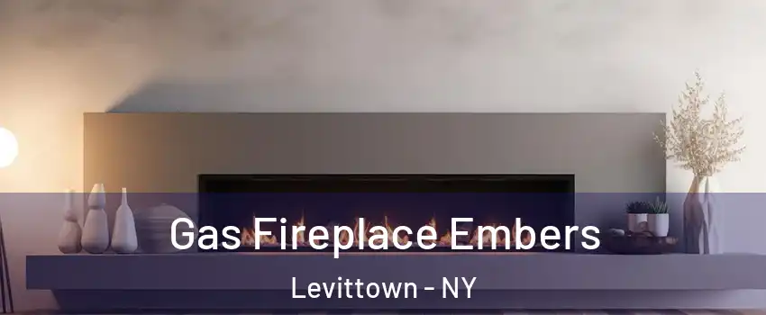  Gas Fireplace Embers Levittown - NY