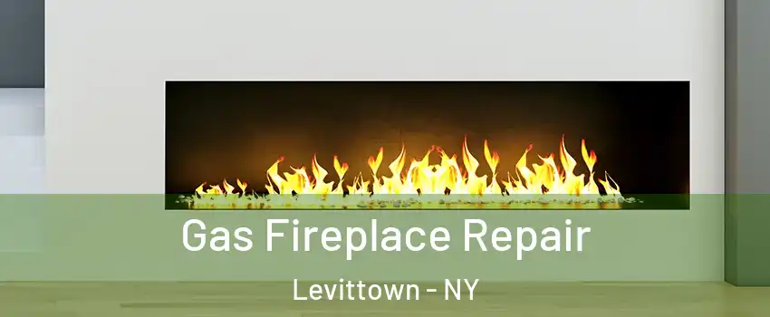  Gas Fireplace Repair Levittown - NY