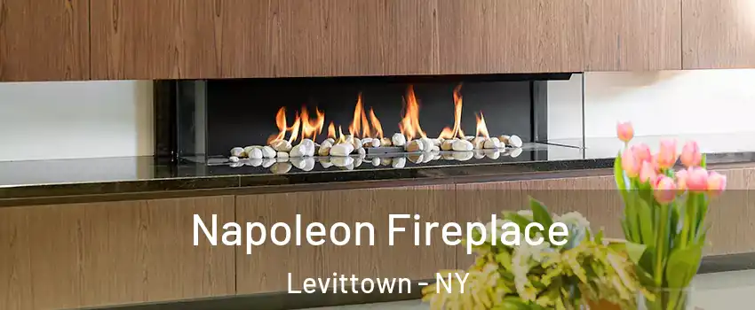  Napoleon Fireplace Levittown - NY