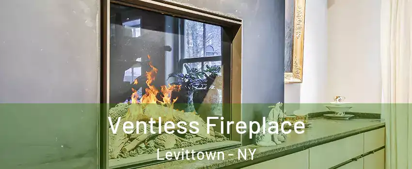  Ventless Fireplace Levittown - NY